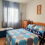 Daire Pet Friendly In Torrevieja