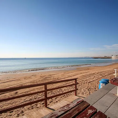 Pet Friendly In Daire Torrevieja